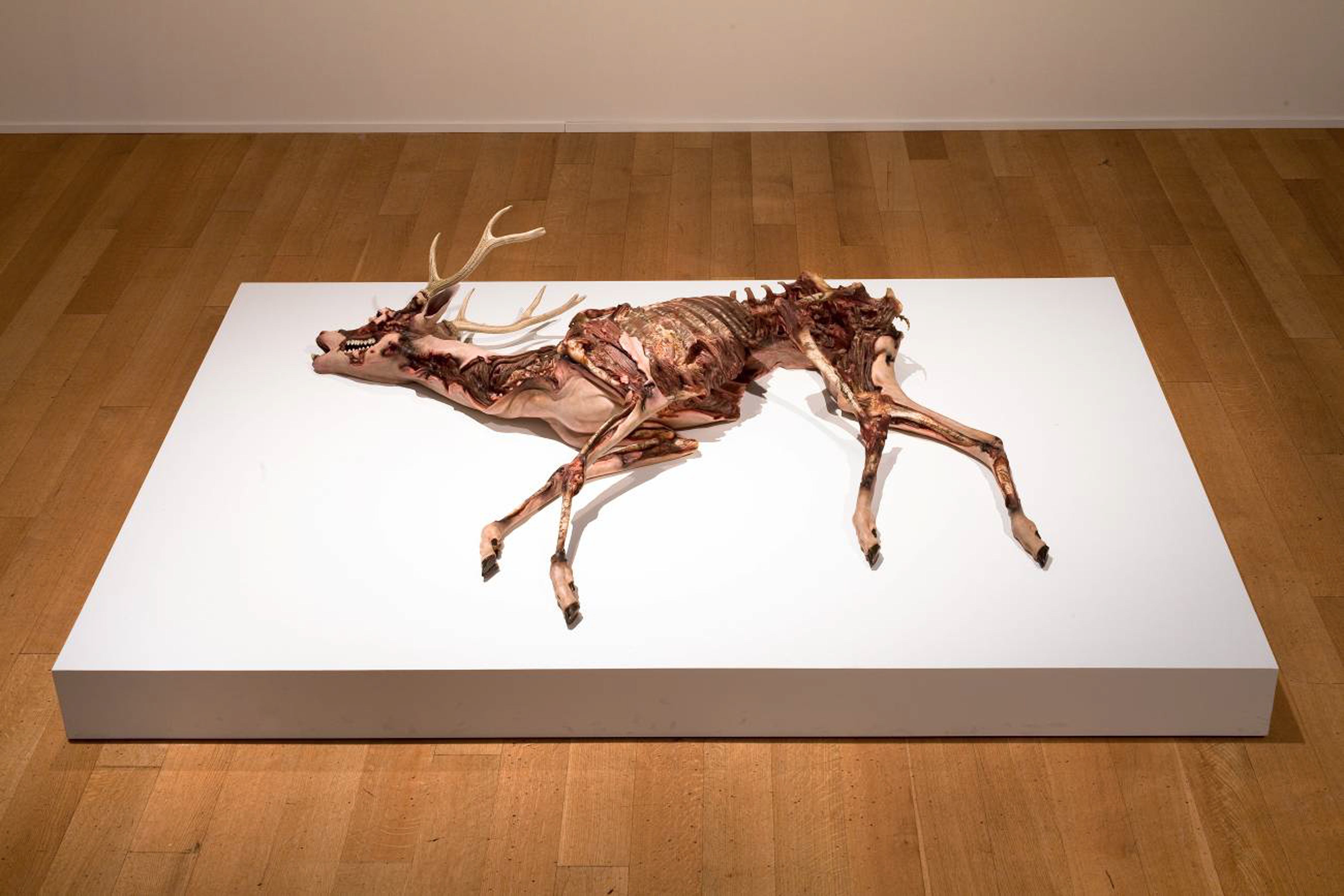 Dallas artist Erick Swenson’s exhibition at the Nasher Sculpture Center