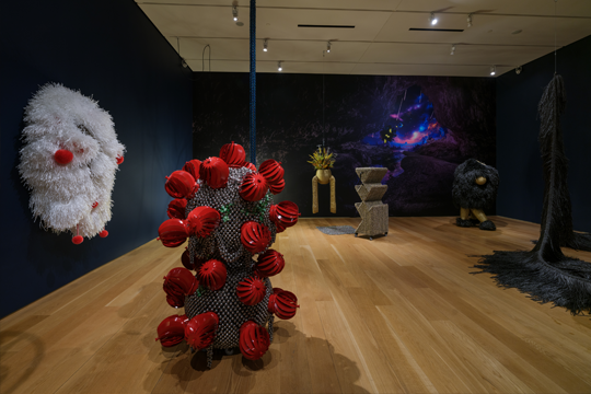 Installation image of sculptures from Yang's 'Cenote Observatory' in the Nasher's Lower Level Gallery, spotlit in a darkened space.